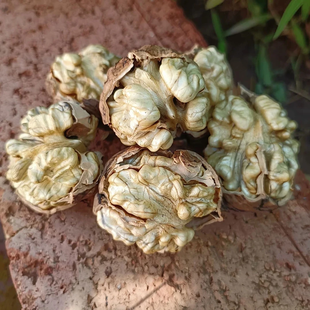 【张金助农】大巴山核桃