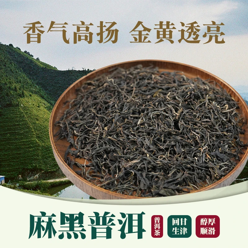 2024年麻黑普洱茶生茶散茶500g/件 古树茶春茶工艺精选