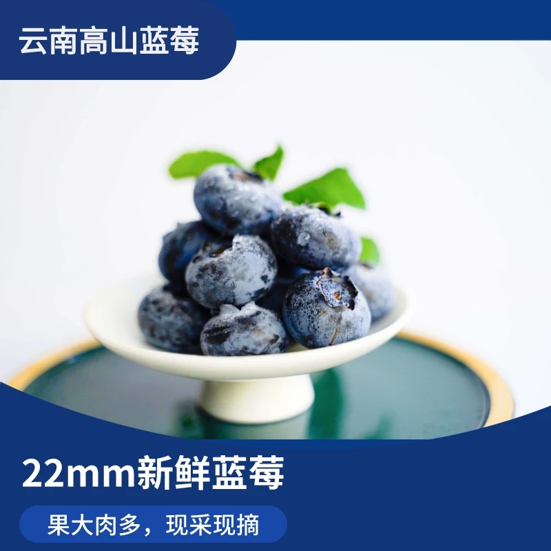 测试22mm＋云南高山蓝莓Big大蓝莓1斤装  脆甜多汁新鲜营养