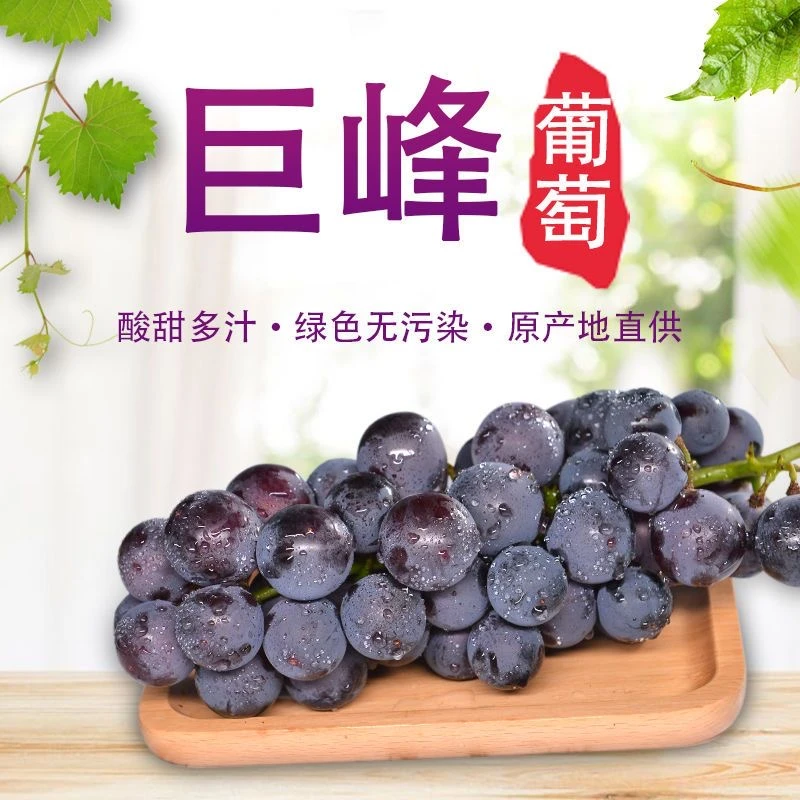 长沟巨峰甜葡萄（2.9一斤，5斤14.5元）