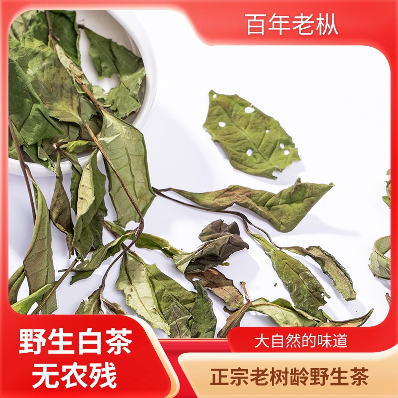 荒识白005号【天荒地老】2024年荒野老枞贡眉白茶净含量75g