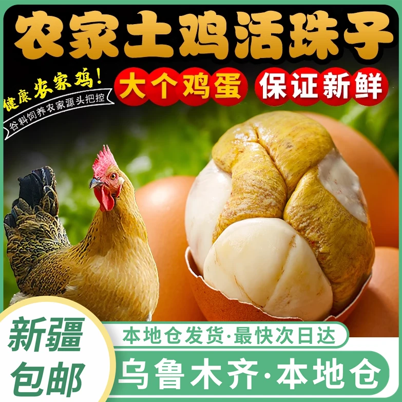 新疆包邮五香活珠子新鲜香辣味鸡胚蛋熟毛蛋钢化蛋开袋即食整箱