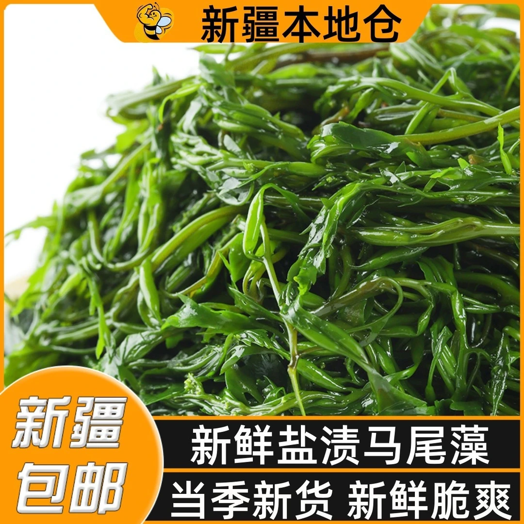 新疆包邮盐渍马尾藻海草鞭炮笋海藻羊栖长寿菜凉拌麻辣烫火锅配菜
