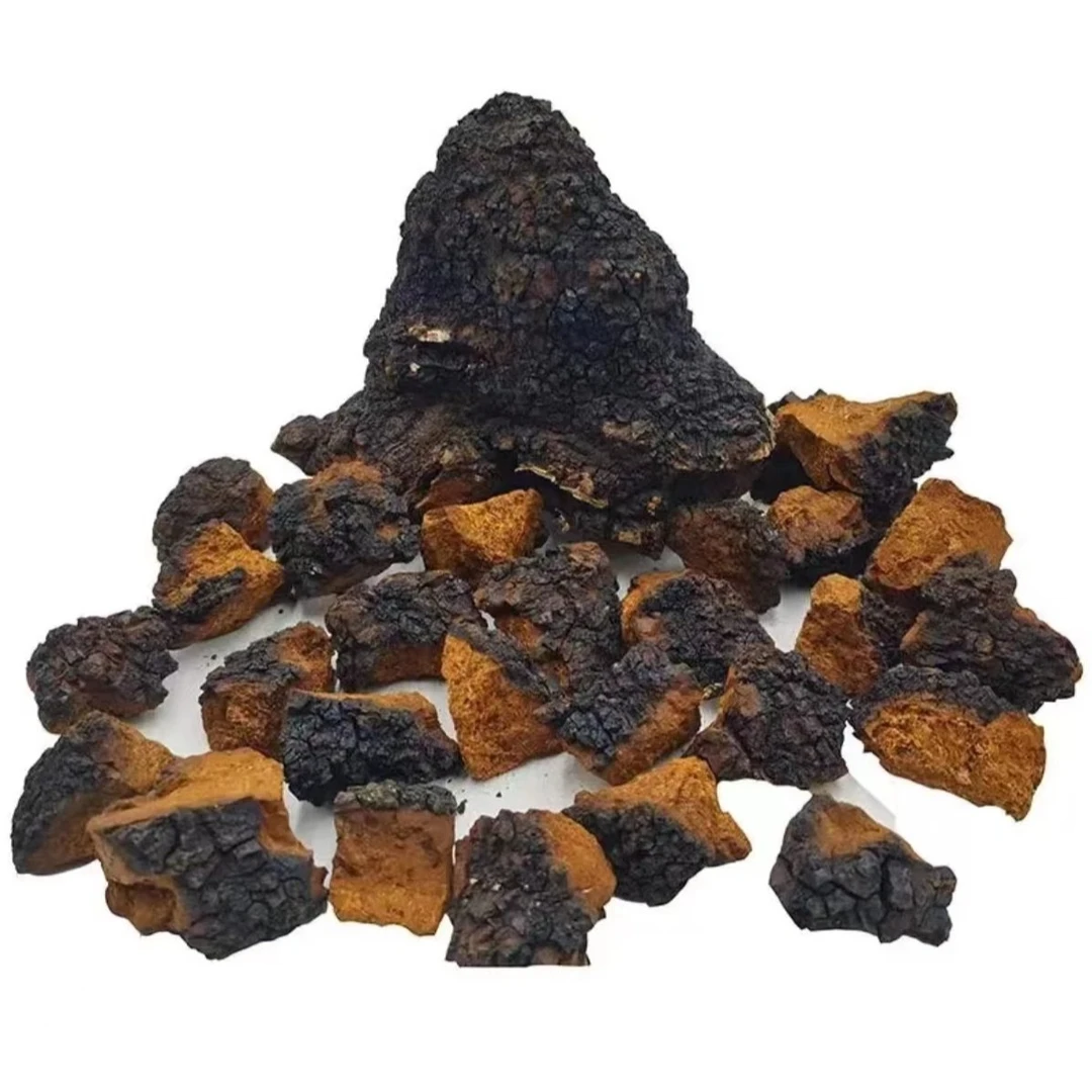 【专属】桦褐孔菌菇 切好和整块根据需要每袋250克.500克需煮水食用