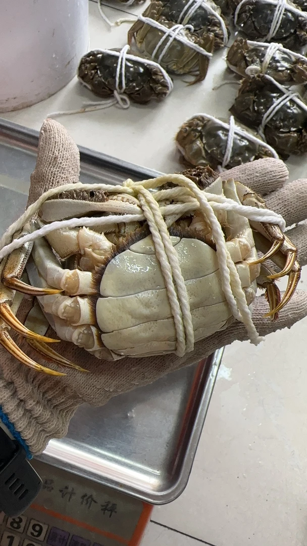 金秋特惠母蟹10只约1.8两左右