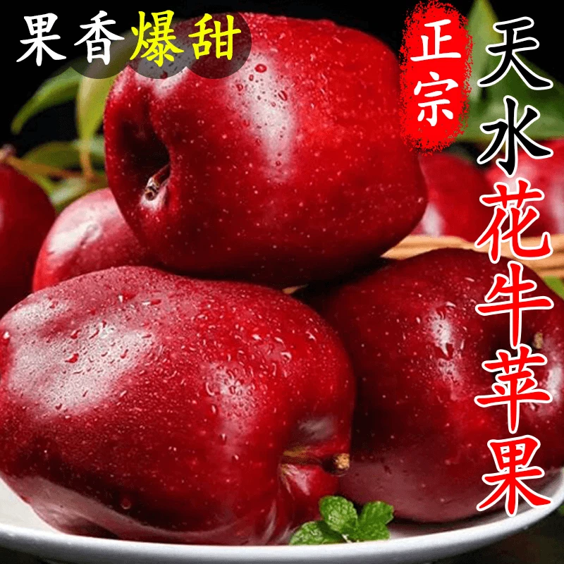 红甘肃天水花牛苹果水果新鲜当季彩箱辅食水果新鲜枝头鲜果