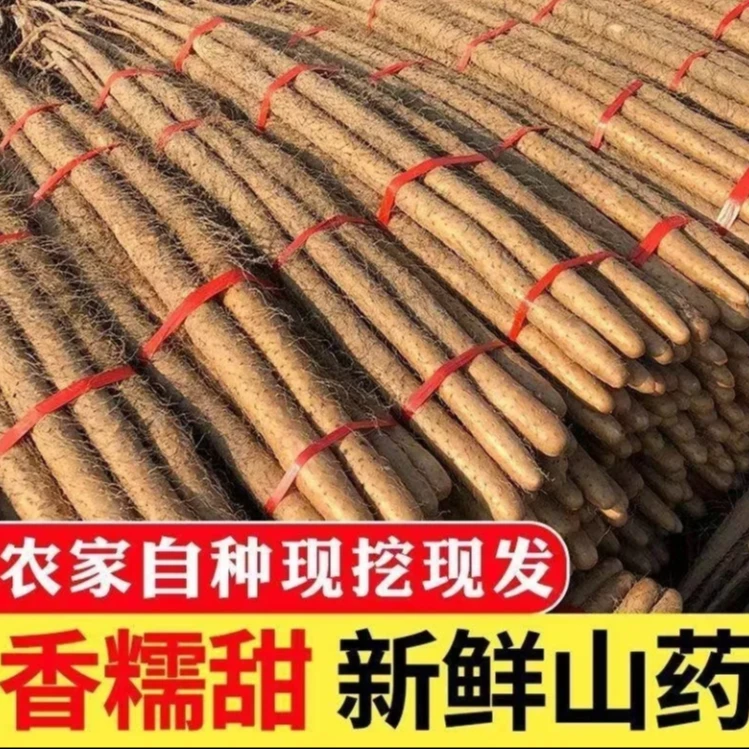 铁棍山药软糯香甜源头直发5斤产地垆土山药优选农家