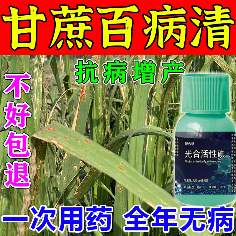 甘蔗专用药消凤梨病黑穗根赤腐褐斑锈病钻心虫杀菌叶面肥料壮丰素