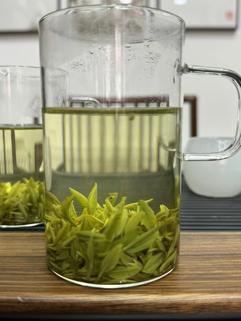 【高海拔栗香小黑裙】2024年新茶，高山绿茶，芽头小而嫩硕，口感香醇