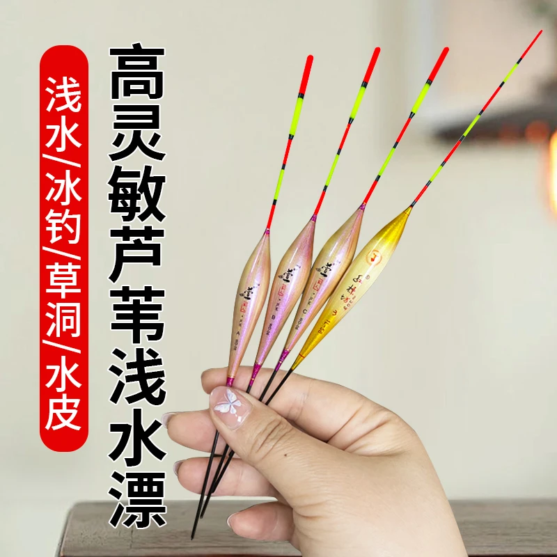 芦苇漂高灵敏鲫鱼漂浅水短漂野钓粗尾醒目漂打浮鱼漂草洞溪流浮漂