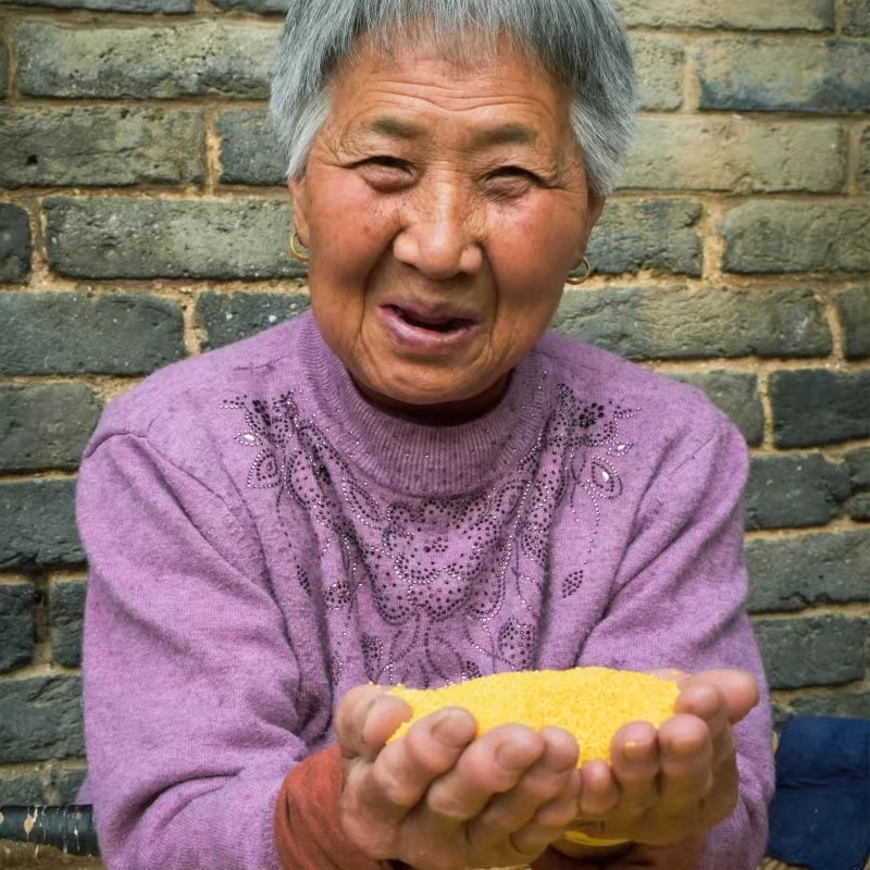 新米上市 小郎优选专属 农家小米五斤装