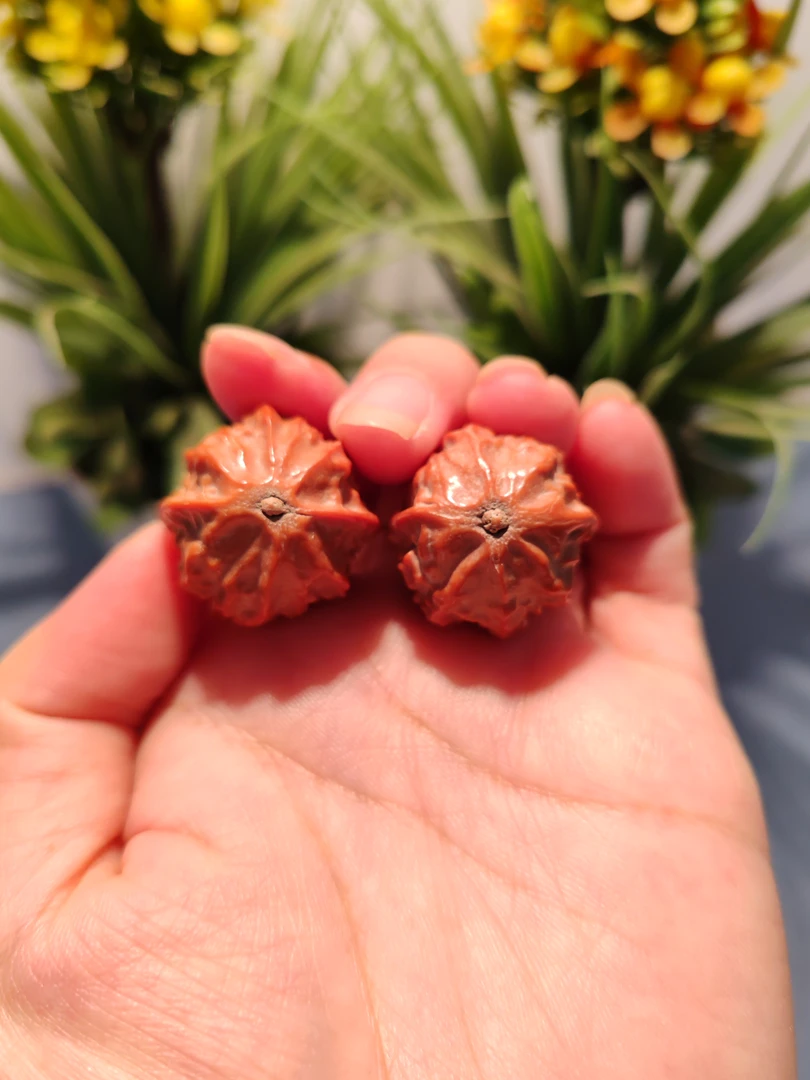 文玩核桃 京八棱卡25左右