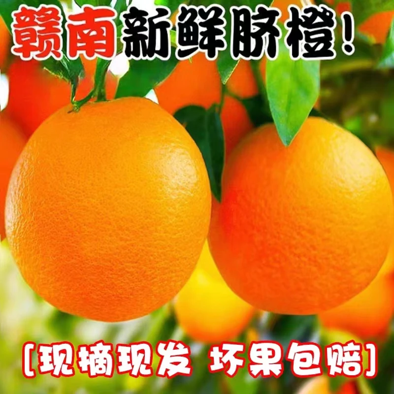 新粉专属正宗赣南脐橙产地直发老农天然种植新鲜采摘发货大果