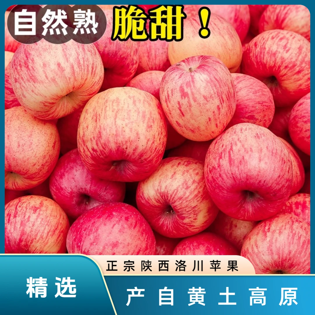 【新鲜现摘】2024新果 应季苹果 正宗 黄土高原陕西洛川红富士 苹果