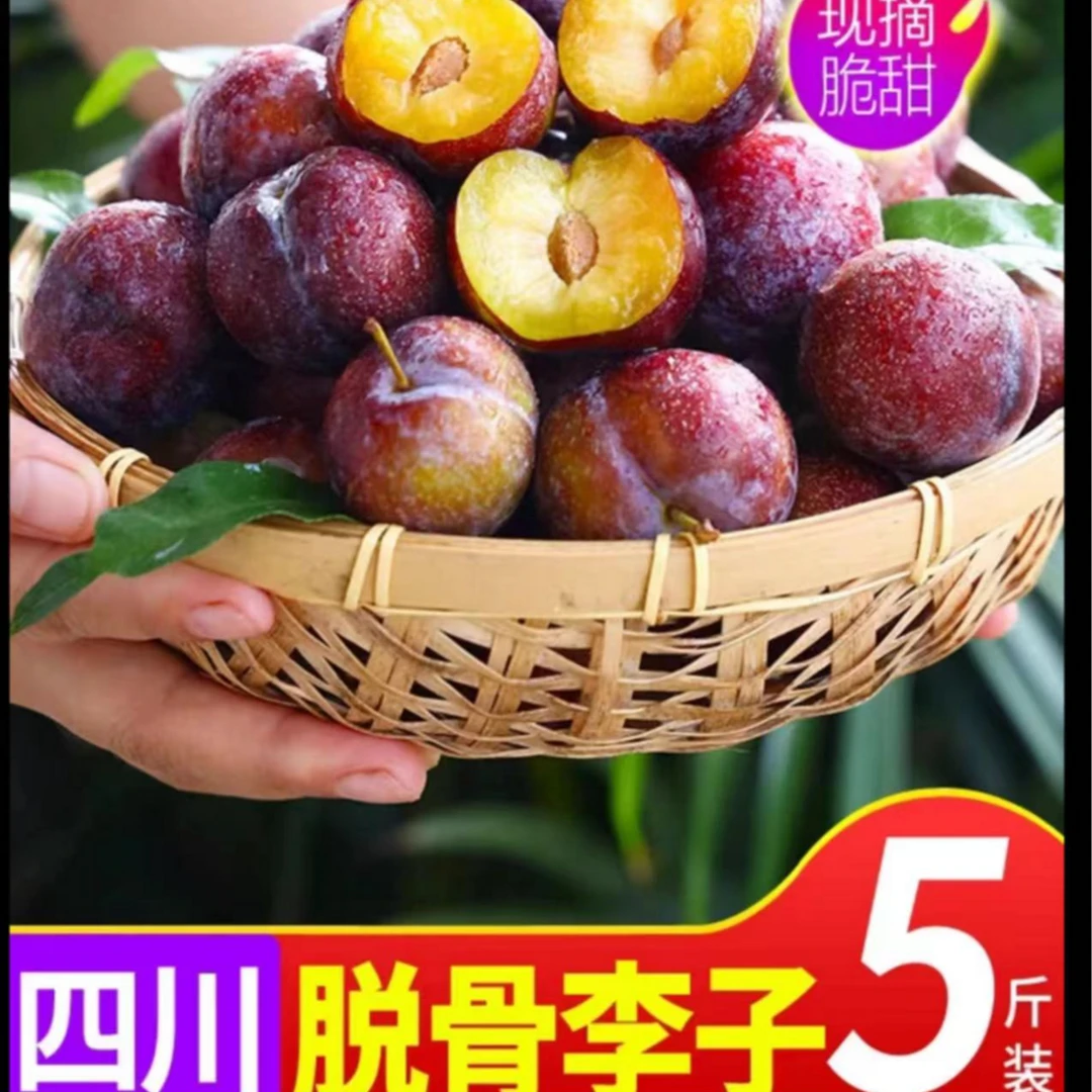 【脱骨李】脆红李四川眉山现摘现发新鲜应季水果果园直发脆爽多汁08