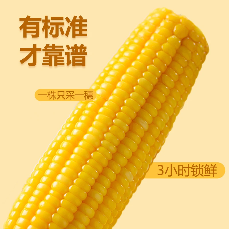 一箱12根试吃两根（大棒透明带箱8斤左右）东北黄糯单支300g