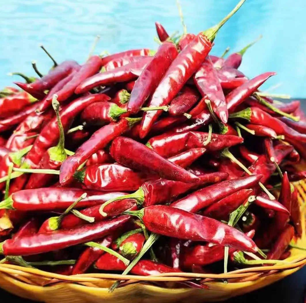 干辣椒1斤包邮自产自销