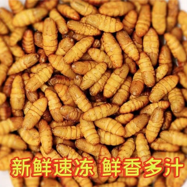 速冻连云港蚕蛹8包，每包250克