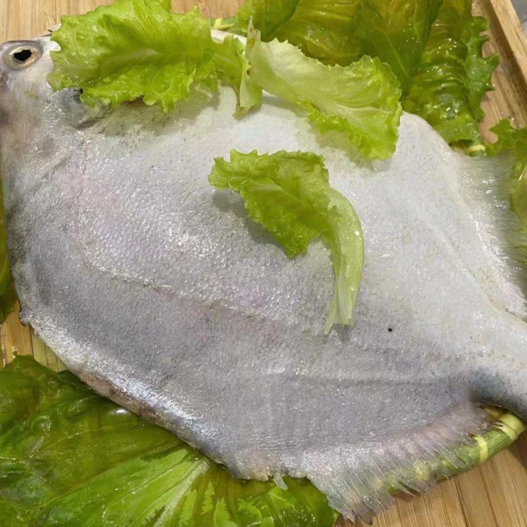 新鲜速冻野生深海鲳鱼 无冰净重8斤/4-5条 特大号鲳鱼独立包装