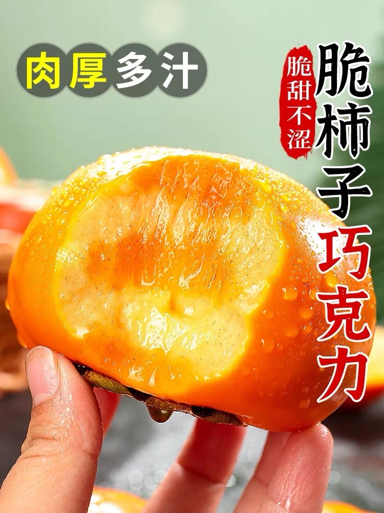 现摘阳丰巧克力脆柿子不涩不麻脆甜 新鲜水果 坏果包赔