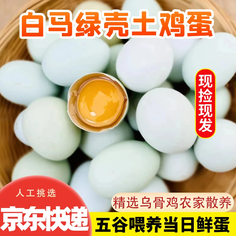 正宗农家散养白马绿壳土鸡蛋新鲜美味营养健康多种吃法食用精品