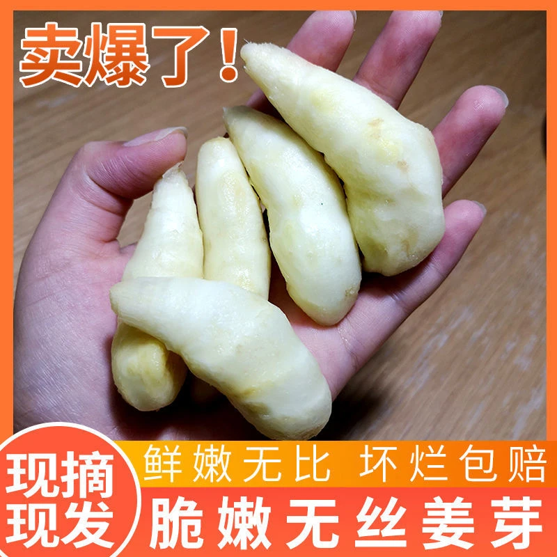 【出口品质】新鲜嫩生姜芽嫩子姜醋泡姜鲜姜芽鲜仔姜鲜嫩1/2/3/5斤