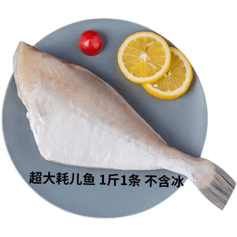 【耗儿鱼】大号耗儿鱼1斤1条扒皮鱼马面鱼新鲜冷冻剥皮鱼450g
