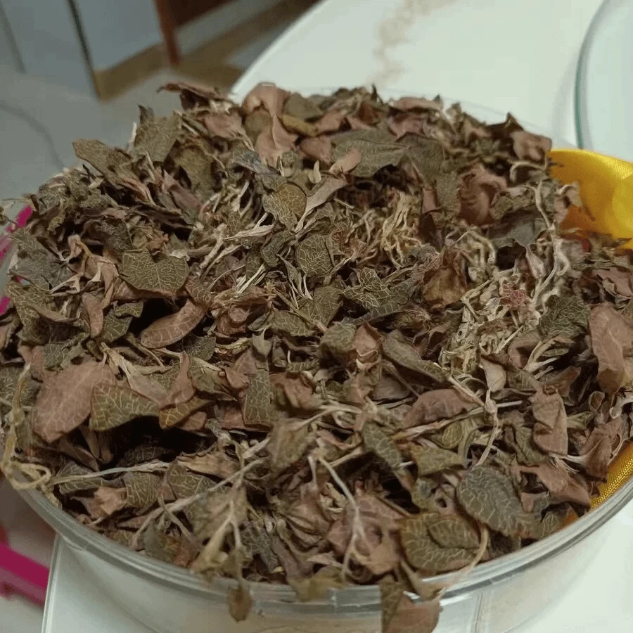 高山 土货农家散装  金线连