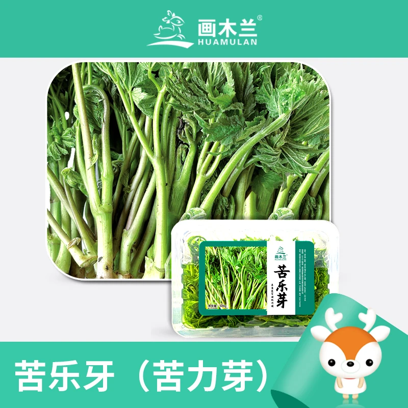 木兰围场苦乐芽苦力芽山野菜新鲜速冻解冻即食熬粥蘸酱承德特产