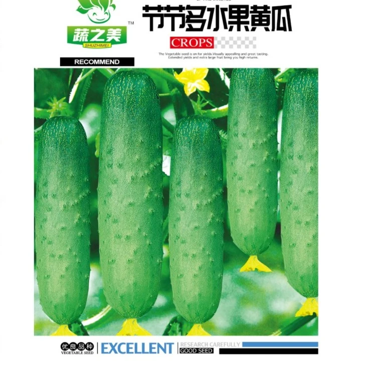 【节节多水果黄瓜种子】有机黄瓜阳台庭院好种易熟