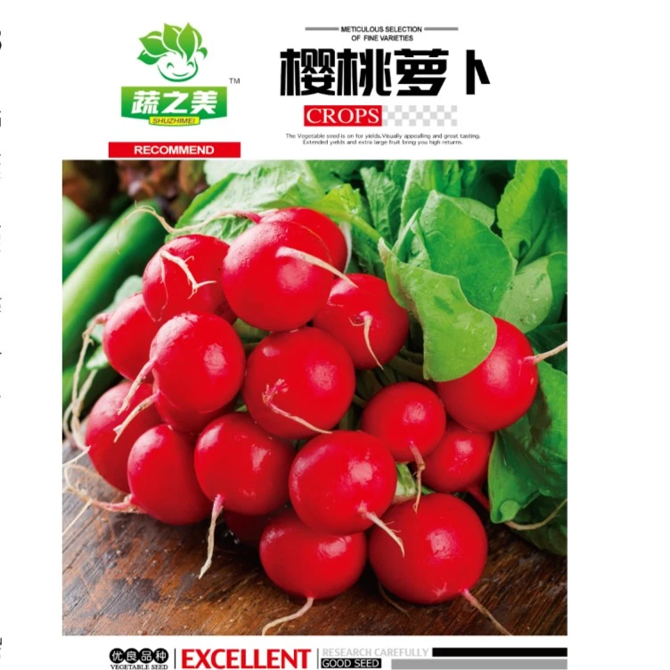 【樱桃萝卜种子】产地樱桃小萝卜阳台庭院菜园四季好种