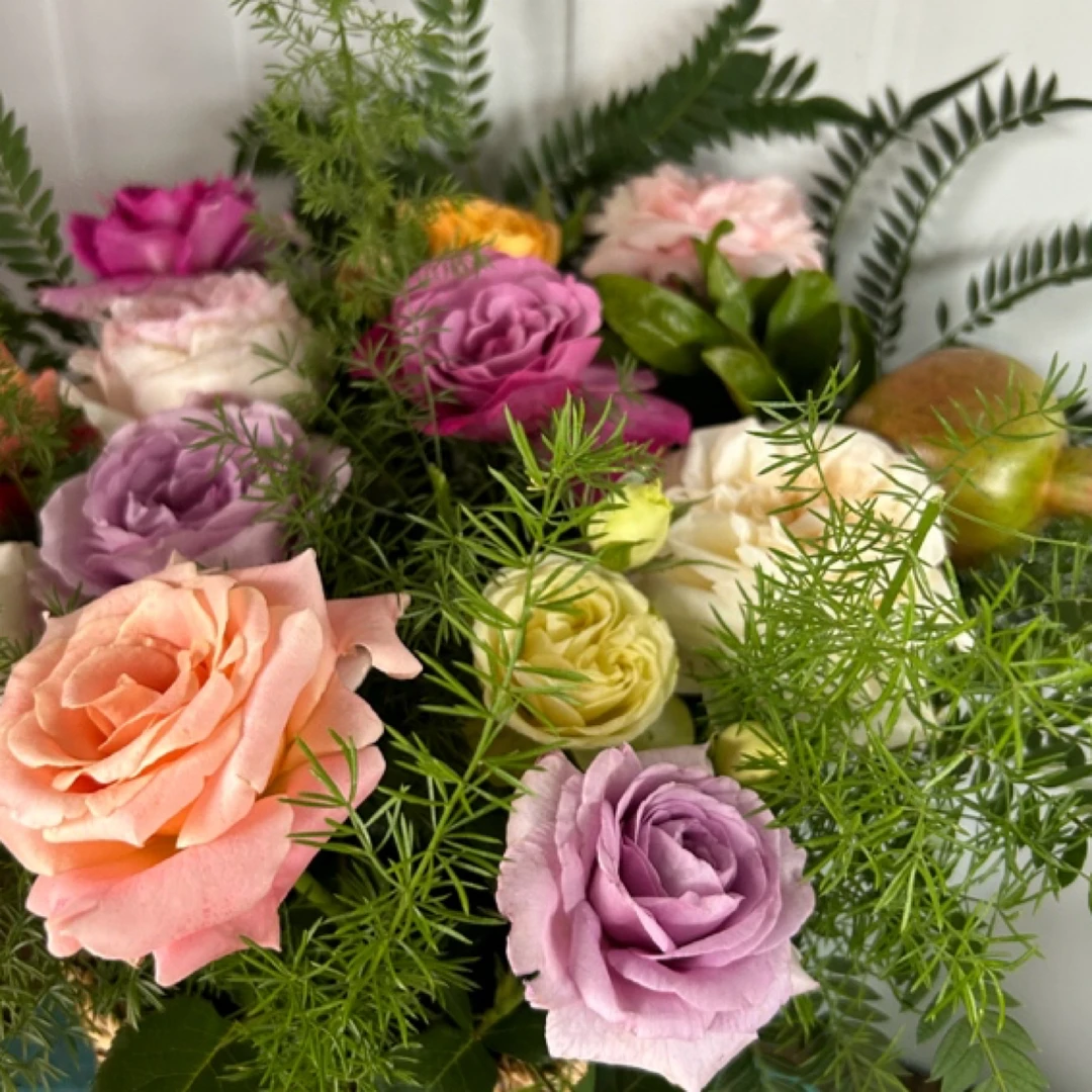 批发连接好养大花