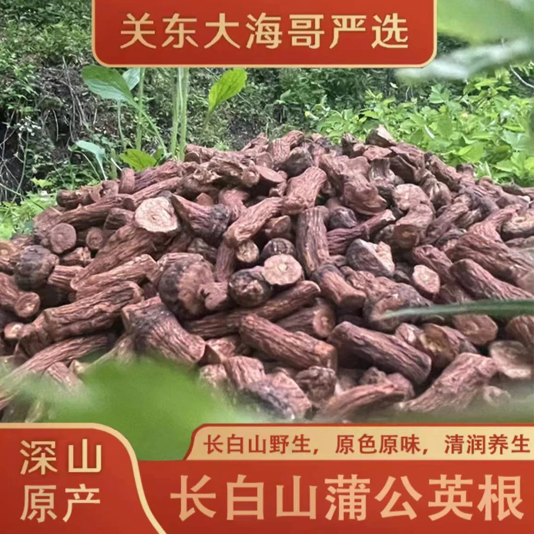 东北长白山蒲公英根250克