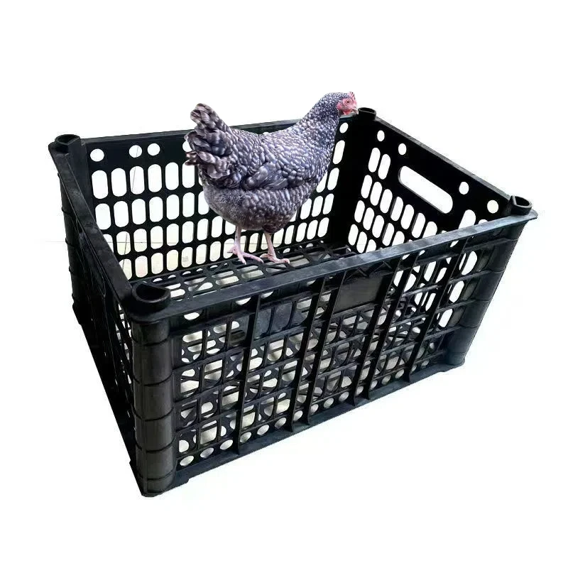 芦花宠物笼子可装10只不挤