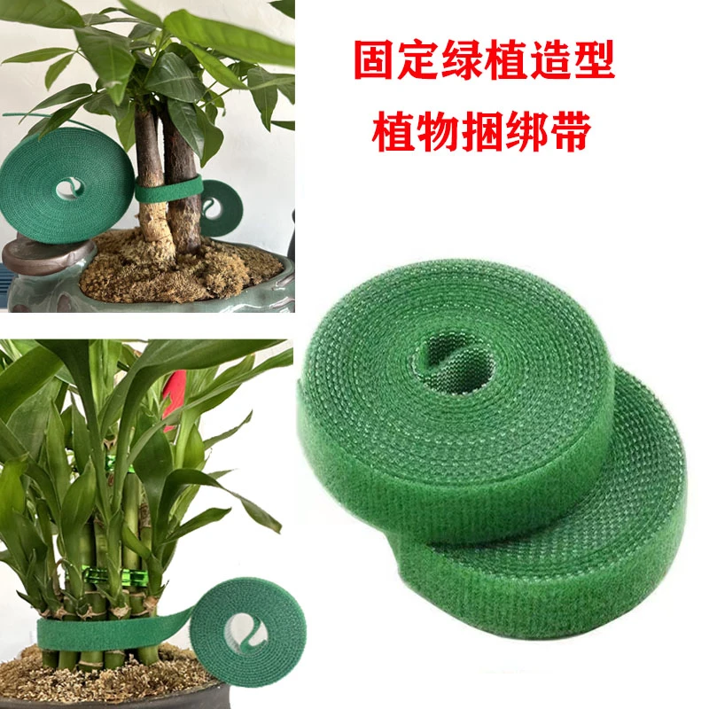 绿植捆绑扎带绿色魔术贴粘扣带不伤植物捆绑带支撑固定造型热值