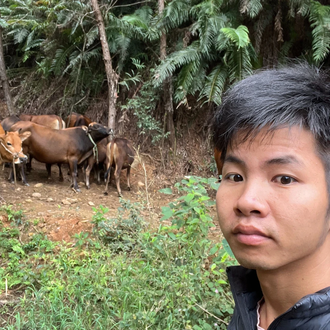 新鲜农村放养吃草牛肉 【直播间现称改价】放心健康肉