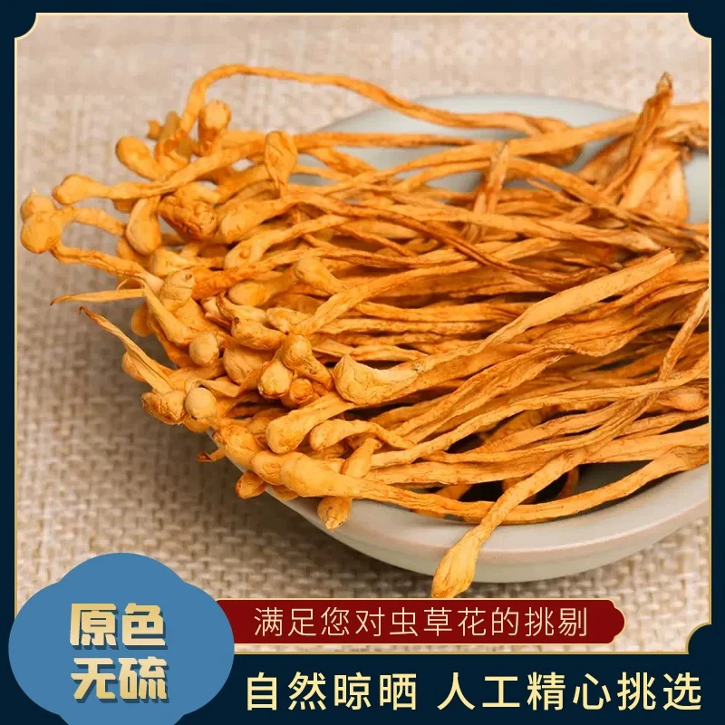 新鲜虫草花干货250g精选无硫蛹虫草北金虫草非孢子头煲汤材料