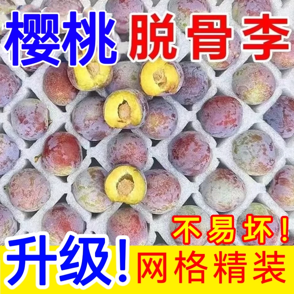 【主播福利】正宗汶川脱骨脆李脆红江安李茵红李半边红甜水果