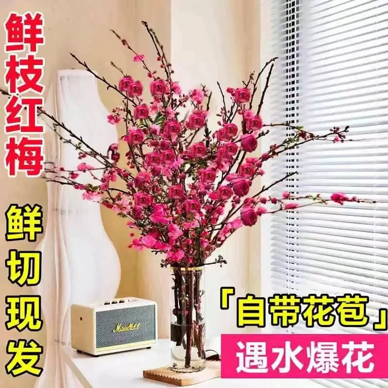 【假一赔十】红梅干枝年宵花卉新年装饰家庭水培干花