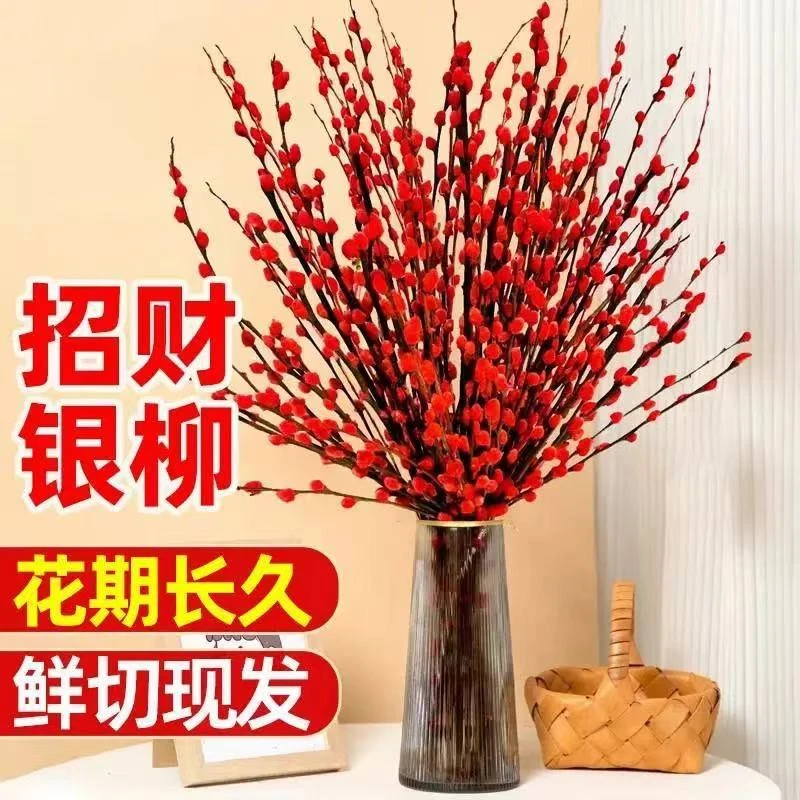 银柳真花鲜枝客厅干花摆件红色年宵花卉水培植物室内干枝红柳