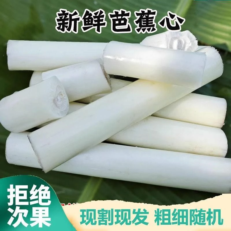 新鲜拉丝芭蕉芯杆芯现摘现发当季芭蕉心香蕉杆茎心蕉茎干顺丰包邮