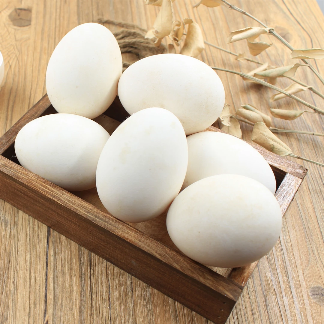 正宗农家粮食散养新鲜土鹅蛋孕妇去胎毒12枚包邮破损包赔现捡现发
