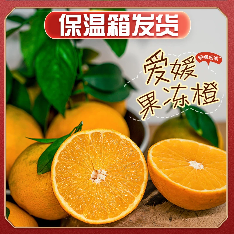 【保温箱专链】爱媛果冻橙4.5斤-5斤 四川山区果园现摘现发