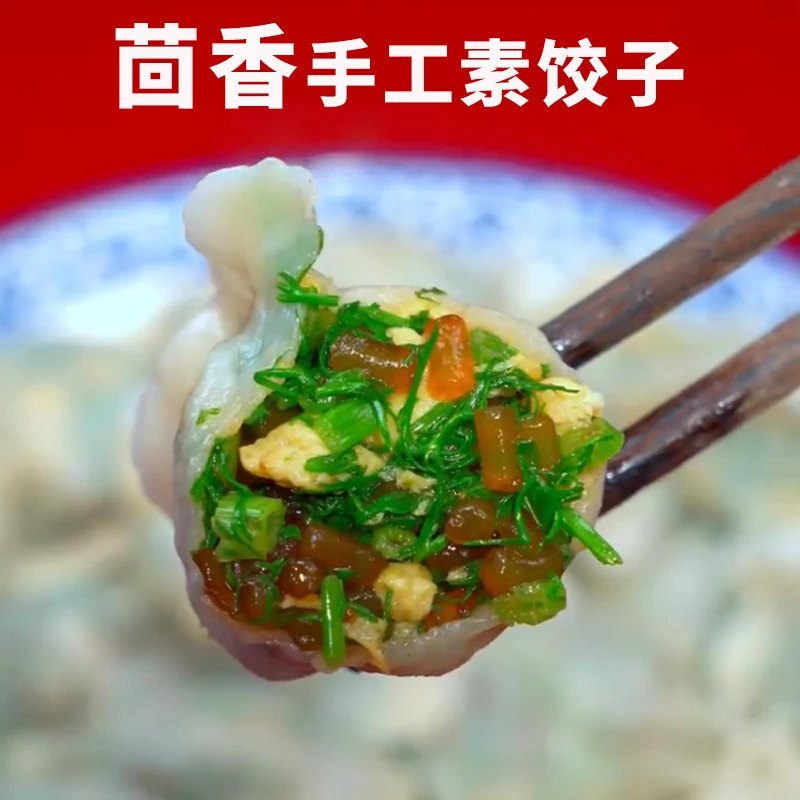 山东手工大馅水饺纯素馅茴香鸡蛋粉条素三鲜水饺