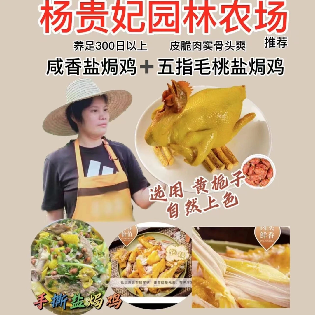 【杨贵妃专属】一只-正宗盐焗鸡 广东农家散养250日以上950克±