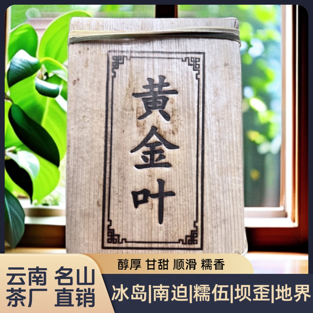冰岛五寨（冰岛南迫糯伍坝歪地界）古树黄金叶生普2019陈醇厚甜滑香