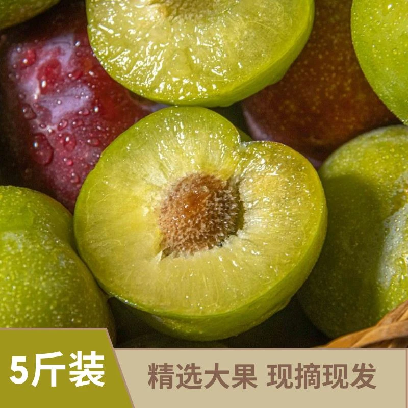 5斤精品果四川茵红李半边红脱骨李坏果包赔