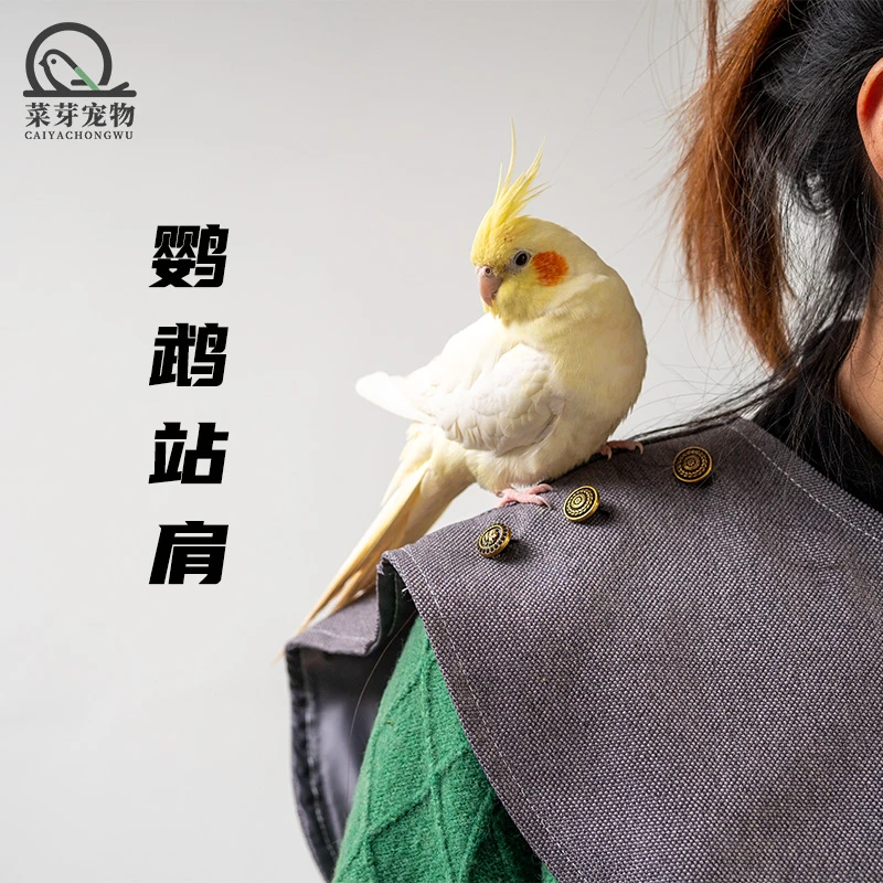 菜芽宠物鹦鹉站肩防咬披肩护臂防抓防屎尿用品尿不湿屎兜玄凤牡丹