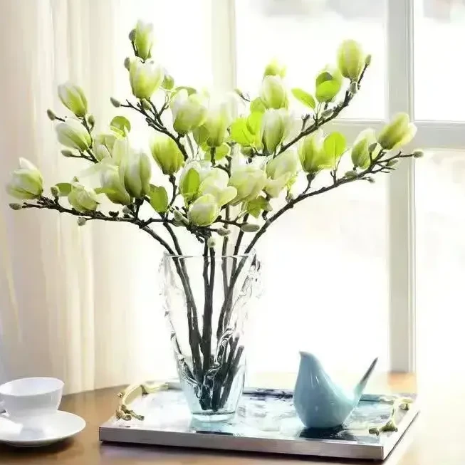 【遇水开花】水养玉兰花卉室内水培客厅办公室鲜切枝条桃花水培绿植