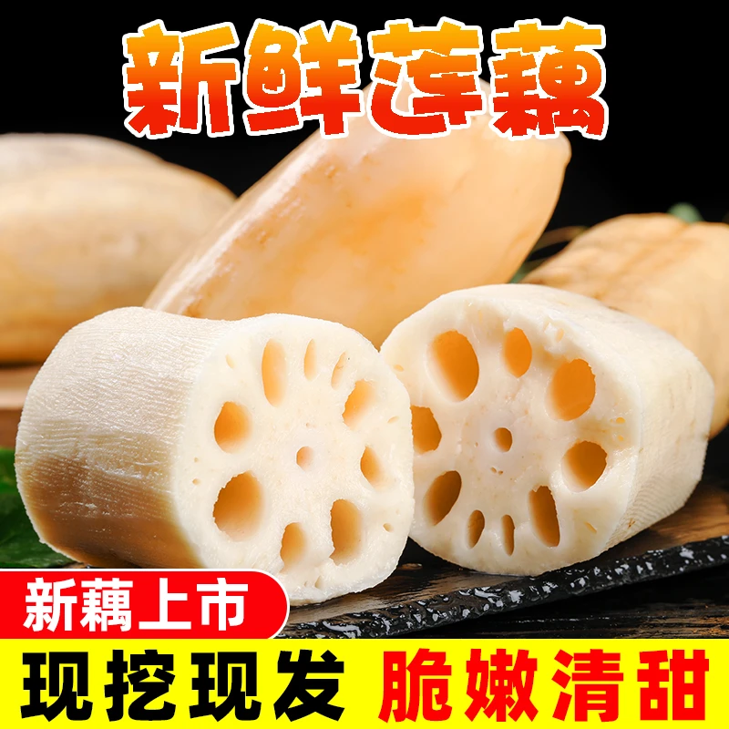 新鲜莲藕现挖嫩藕脆藕糯米藕煲汤粉糯炖汤九孔莲藕1/5斤